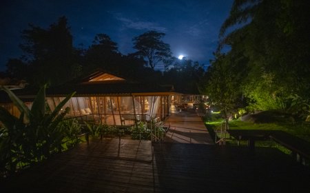 Cristalino Lodge oferece noite cortesia para estadia inesquecível no coração da biodiversa região de Alta Floresta (MT)