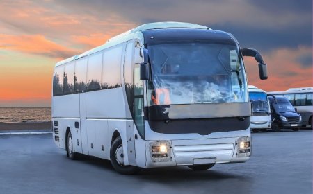 Black Friday traz descontos em passagens rodoviárias