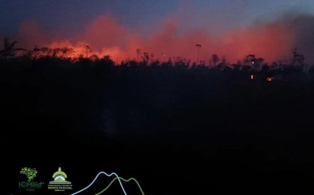 500 hectares podem ter sido destruídos por incêndio no Parque Nacional e histórico do Monte Pascoal 