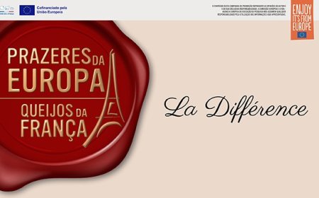 Descubra o corte perfeito e veja como a arte do corte influencia no sabor e na experiência dos queijos