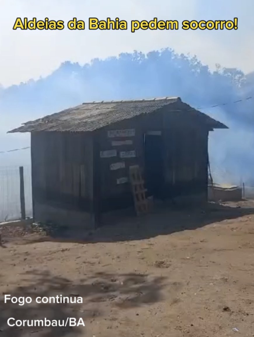 500 hectares podem ter sido destruídos por incêndio no Parque Nacional e histórico do Monte Pascoal 