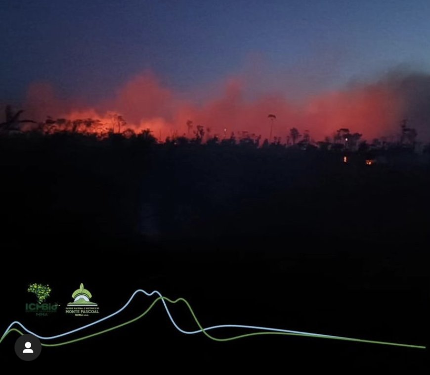 500 hectares podem ter sido destruídos por incêndio no Parque Nacional e histórico do Monte Pascoal 