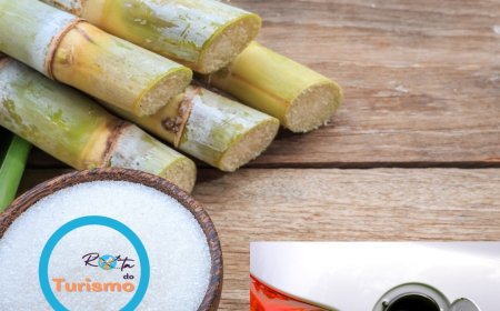 Tereos atinge safra recorde com 21,1 milhões de toneladas de cana processadas