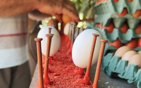 Pomerode define o tema da Osterfest em 2024