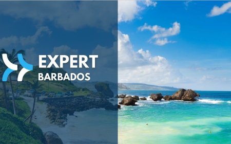 Barbados realiza treinamento para profissionais de turismo com Go Agentes no Bureau Mundo