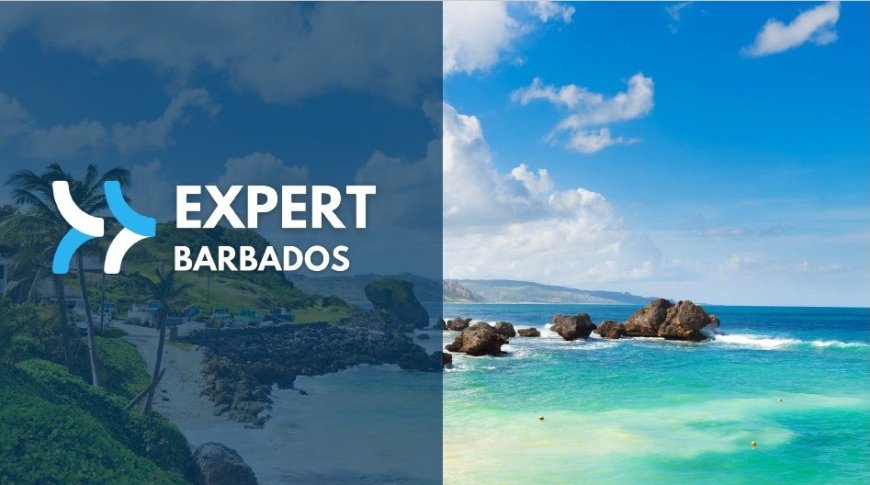 Barbados realiza treinamento para profissionais de turismo com Go Agentes no Bureau Mundo