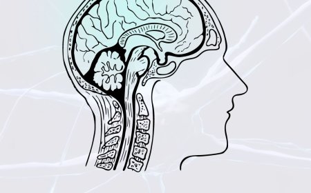 17 ladrões do seu foco:  Como produzir mais em 2024