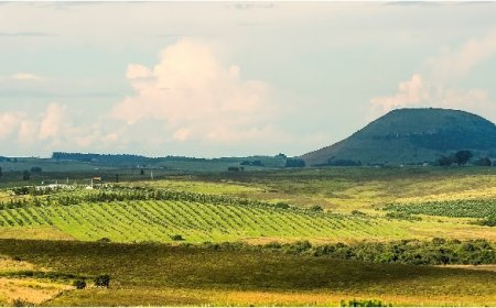 Descorchados 2024  Cerro da Cruz Nature Rosé entre os Melhores da Campanha Gaúcha