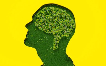 52% dos brasileiros se dizem muito preocupados com o meio ambiente, mostra pesquisa