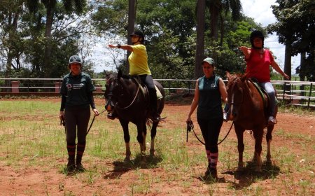 Equoterapia de Ribeirão Preto para o Reino Unido: estudo brasileiro será veiculado em periódico internacional