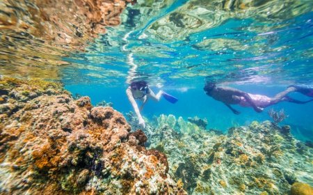 5 experiências para se apaixonar por Anguilla  