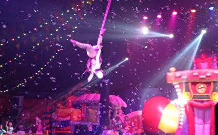 Rotary Club de Ribeirão Preto-Califórnia leva crianças ao circo Patati Patatá