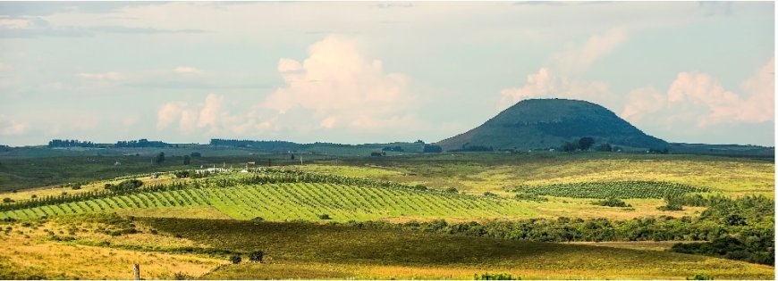 Descorchados 2024  Cerro da Cruz Nature Rosé entre os Melhores da Campanha Gaúcha
