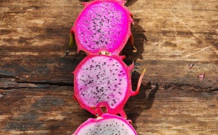 Com apoio da Embrapii e Sebrae, produtor rural cria geleia de pitaya para aumentar faturamento do negócio