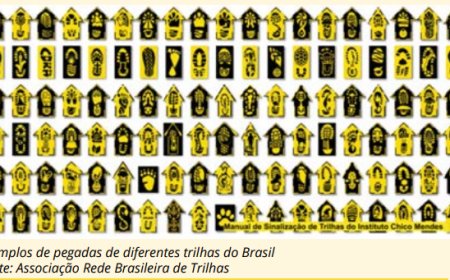 Conheça trilhas brasileiras que são perfeitas para quem é fã do cicloturismo