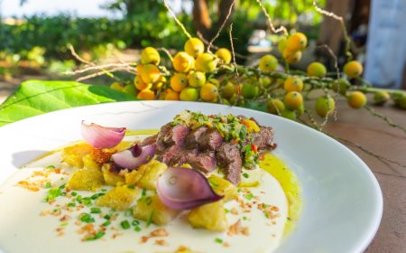 4º edição do Festival Raízes de Porto Seguro, maior evento gastronômico do Sul da Bahia