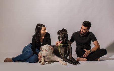 Gigantes na Estrada: A bordo de um motorhome, casal de Caxias do Sul fará viagem até à Patagônia com seus dois dogues alemães