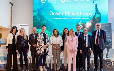 Monaco Ocean Week: MSC Foundation incentiva a restauração e conservação de recifes de coral com parceiros acadêmicos, da ONU e dos setores público e privado