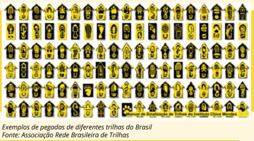 Conheça trilhas brasileiras que são perfeitas para quem é fã do cicloturismo