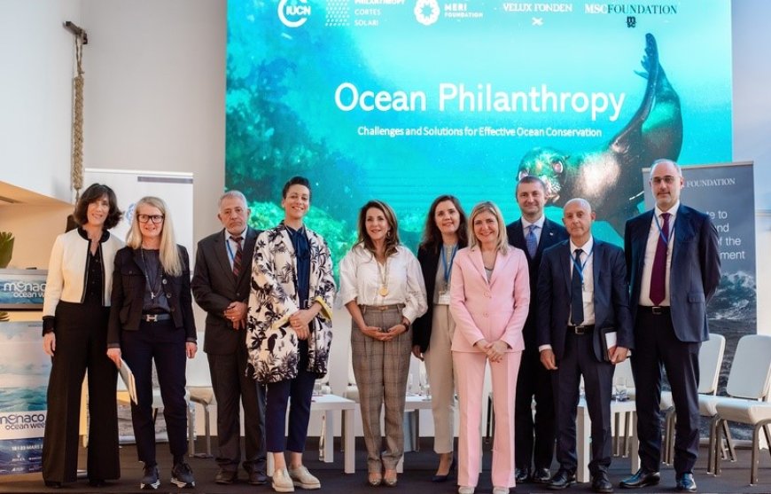 Monaco Ocean Week: MSC Foundation incentiva a restauração e conservação de recifes de coral com parceiros acadêmicos, da ONU e dos setores público e privado
