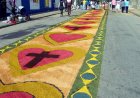 Tradição artística de Corpus Christi encanta turistas Brasil afora