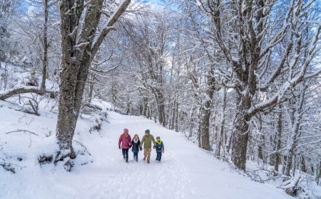  Nevasca histórica: Bariloche se prepara para receber até 50 mil brasileiros nesta temporada de inverno  