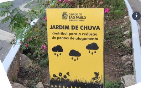 Dia Mundial do Meio Ambiente (5 de junho) e Dia Mundial do Oceano (8 de junho), dois momentos de reflexão sobre as mudanças climáticas