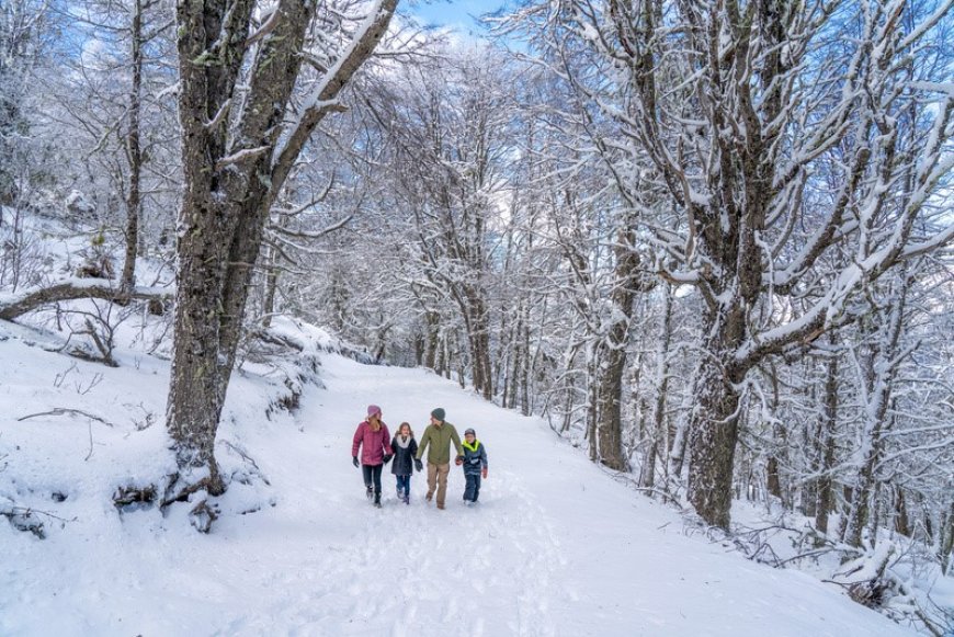  Nevasca histórica: Bariloche se prepara para receber até 50 mil brasileiros nesta temporada de inverno  