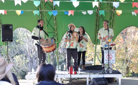 Museu Felícia Leirner e Auditório Claudio Santoro têm oficinas e atividades da campanha Museum Week; confira programação de junho