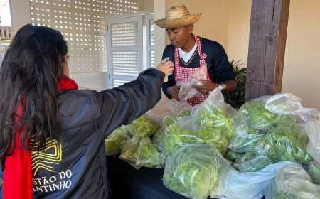 Costao beneficia comunidade do Santinho com distribuição de 1,5 mil pés de alface