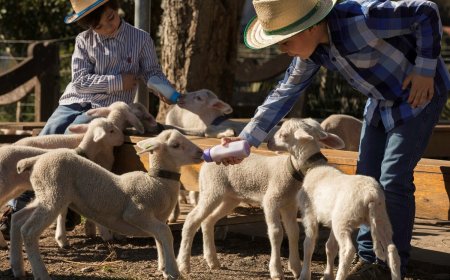 FÉRIAS DE INVERNO, Hóspedes ganham vouchers para viver experiências exclusivas na Serra Gaúcha