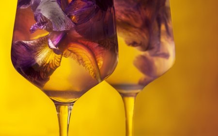 3ª Edição da Softdrinks Tech: o evento para a indústria de bebidas