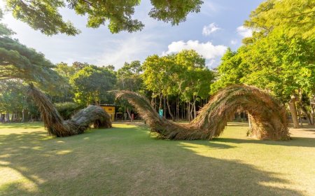 Museu Vale apresenta exposição “Folhear”, com esculturas gigantes utilizando folhagens  