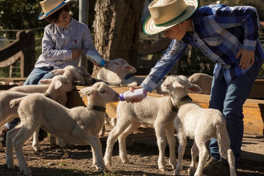 FÉRIAS DE INVERNO, Hóspedes ganham vouchers para viver experiências exclusivas na Serra Gaúcha