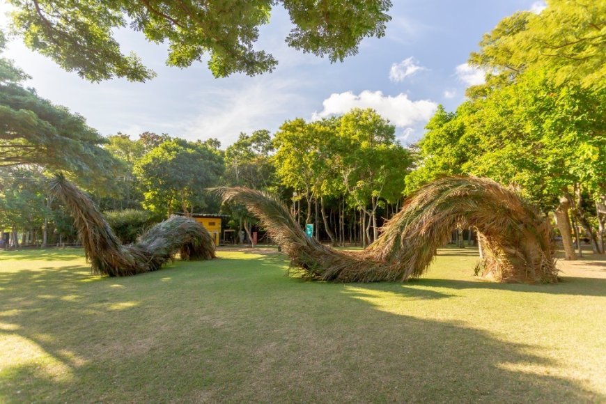 Museu Vale apresenta exposição “Folhear”, com esculturas gigantes utilizando folhagens  