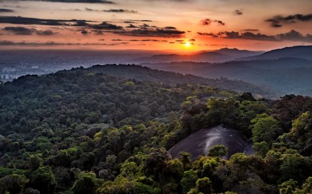 Fernanda Montenegro lê Simone de Beauvoir no Auditório Ibirapuera, celebrando e Horto Florestal recebe novas atividades de lazer   