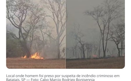 Dois são presos por incêndios criminosos no interior de SP; um deles tinha vídeos celebrando o fogo