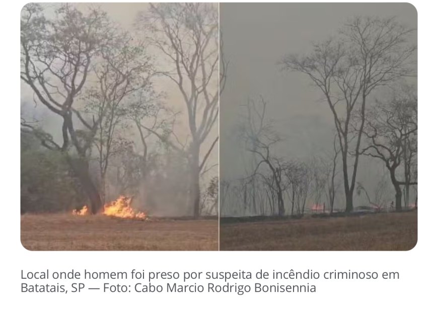 Dois são presos por incêndios criminosos no interior de SP; um deles tinha vídeos celebrando o fogo