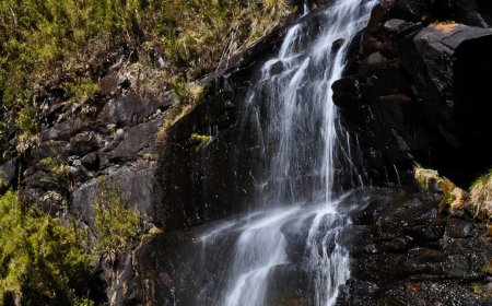Parquetur anuncia ‘Somos PNI’ e ‘Guias da Natureza’, programas de parcerias lançados no Parque Nacional do Itatiaia
