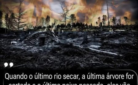 Vamos plantar árvores