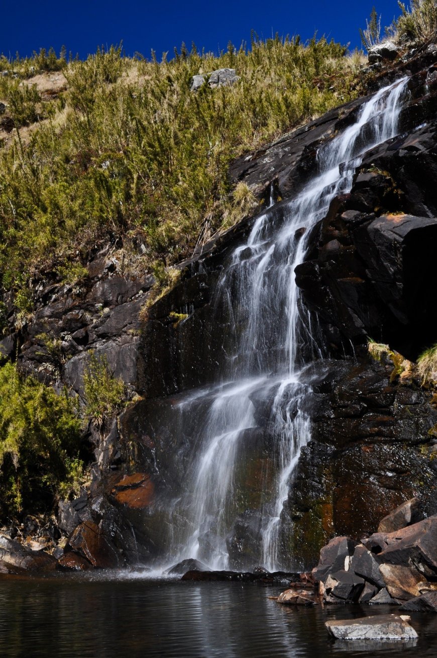 Parquetur anuncia ‘Somos PNI’ e ‘Guias da Natureza’, programas de parcerias lançados no Parque Nacional do Itatiaia