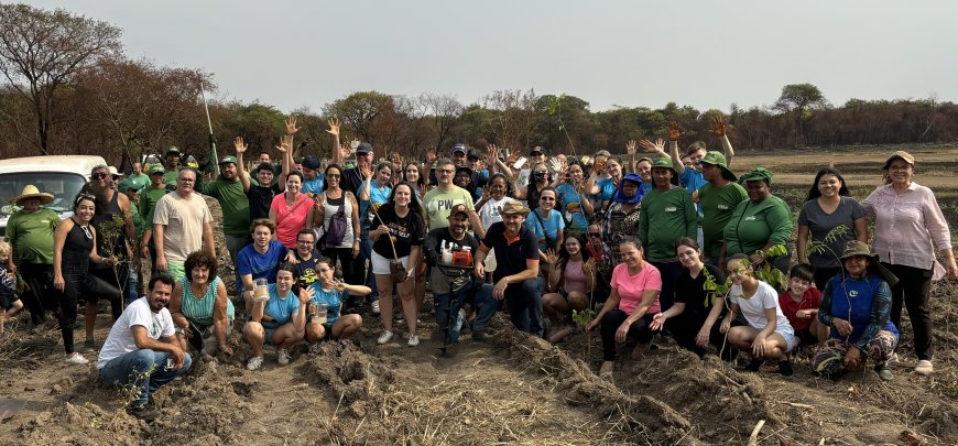 Plantio de árvores foi sucesso em Sertãozinho