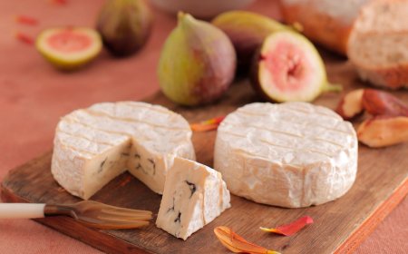 Degustação de queijos: o que levar em consideração?