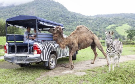 Portobello Resort & Safári lança oferta relâmpago “Fique 4 diárias e pague 3” com descontos em passeios e mimos especiais