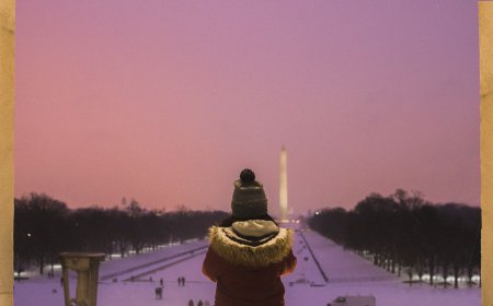 Washington, DC: viva a posse presidencial com história, cultura e gastronomia