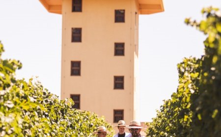 WINEMAKER MIOLO  Abertas inscrições para 8ª turma de Vinho Tinto