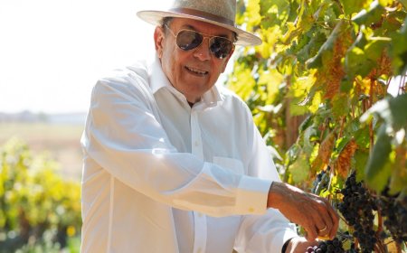 LUIZ LACERDA BIAGI DA METALÚRGICA AO VINHO