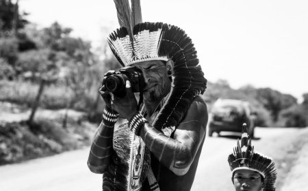 Inhotim anuncia programação de 2025    com mostras inéditas, obras comissionadas e festival de música 