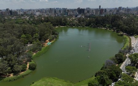 Dia Mundial das Zonas Úmidas: como o Parque Ibirapuera e seus cursos hídricos contribuem para a preservação ambiental de São Paulo