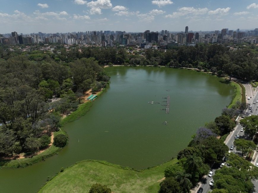 Dia Mundial das Zonas Úmidas: como o Parque Ibirapuera e seus cursos hídricos contribuem para a preservação ambiental de São Paulo